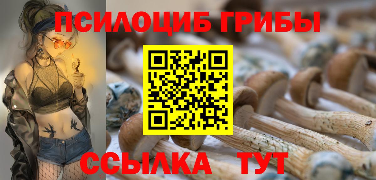 Галлюциногенные грибы Cubensis Новокузнецк